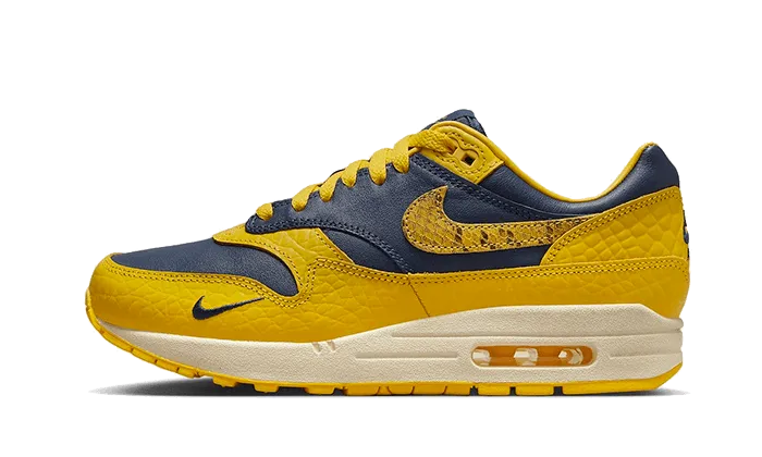 Air Max 1 CO.JP Michigan