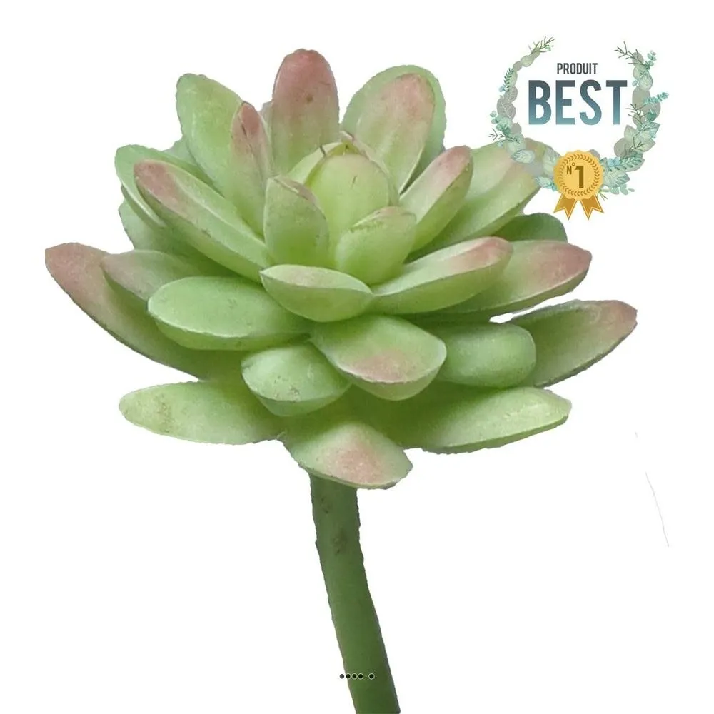 Echeveria elegans factice en piquet h16cm d12cm vert-rouge best