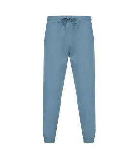 Pantalon de jogging adulte bleu de gris SF