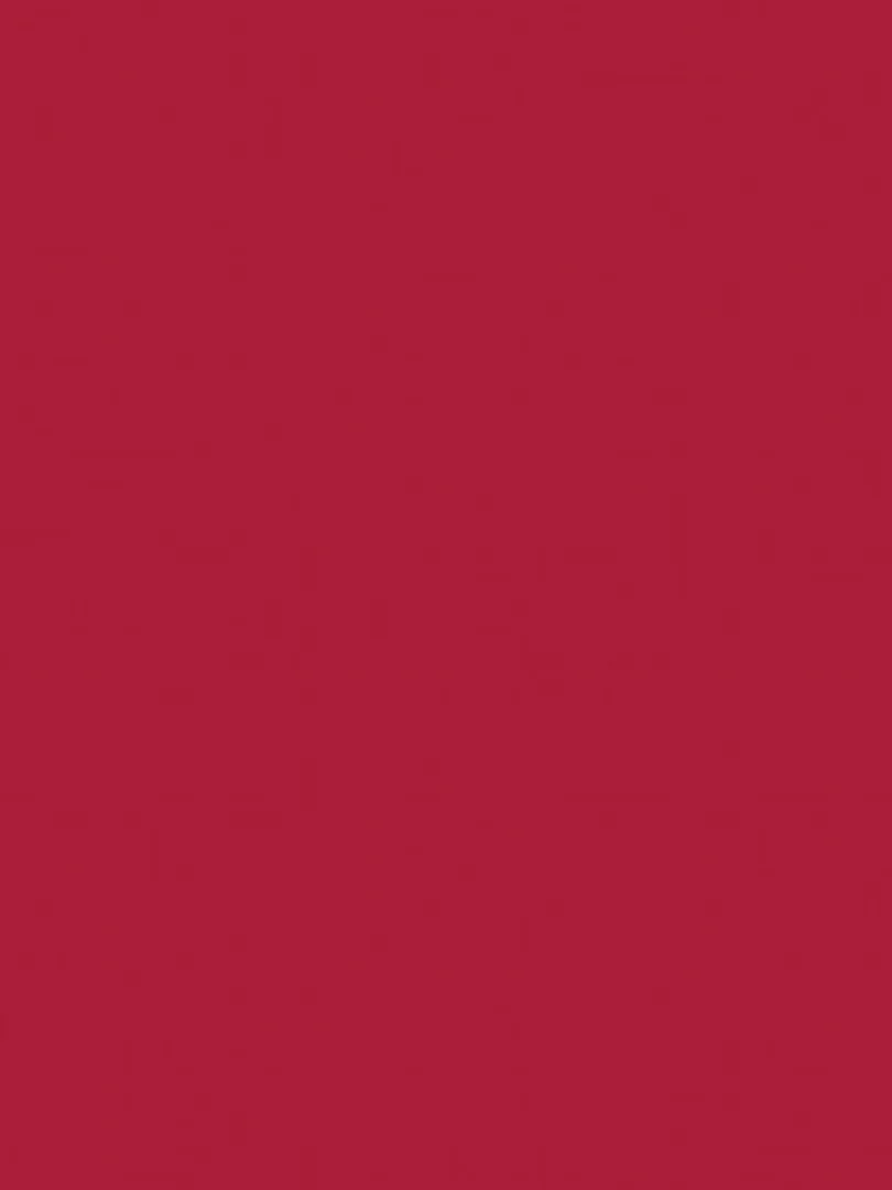 Peinture acrylique opaque brillante - Rouge velours - 45 ml - N/A