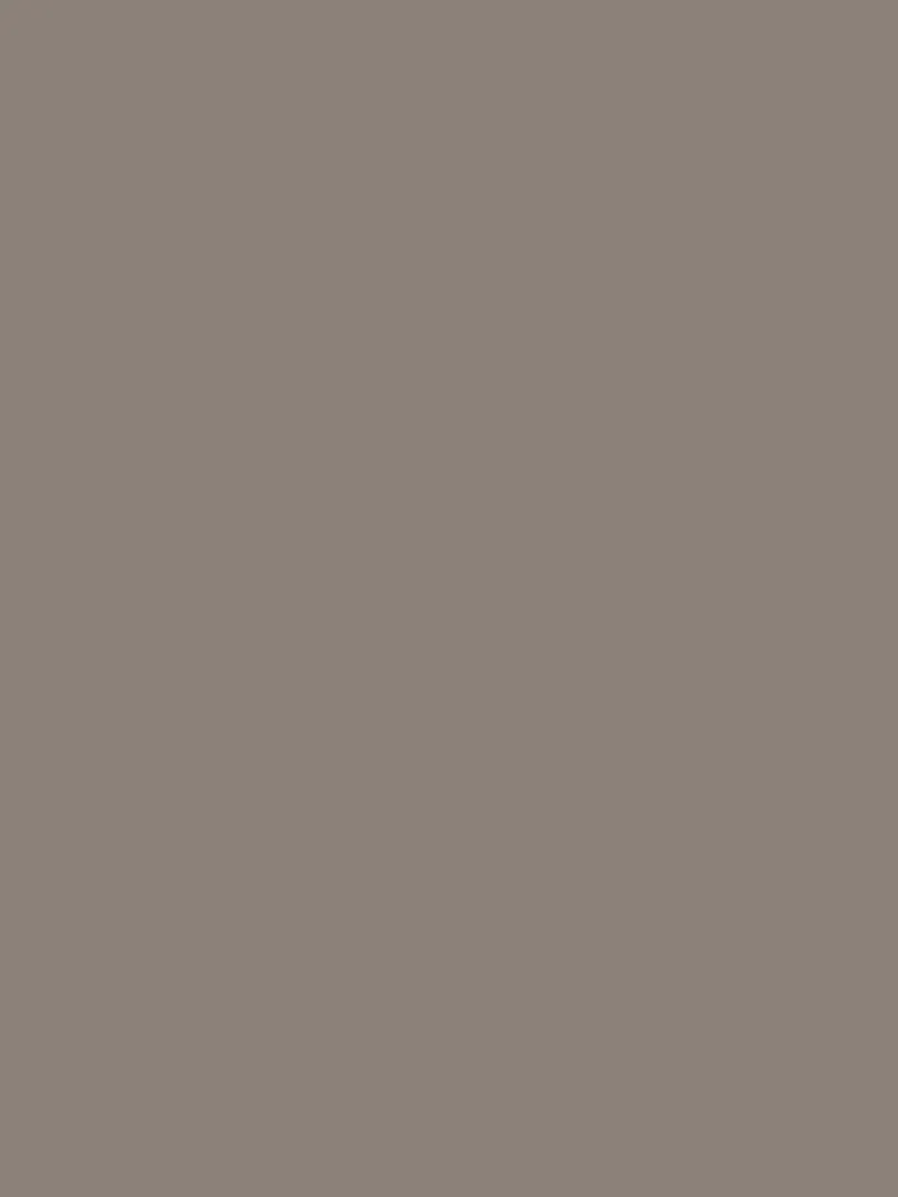 Peinture acrylique opaque mate - Gris - 45 ml - N/A