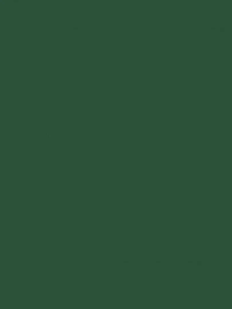 Peinture acrylique opaque mate - Vert sapin - 45 ml - N/A